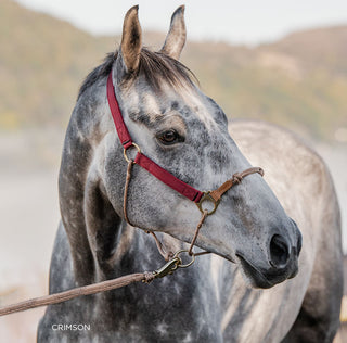 Classic Nylon Hybrid Halter®