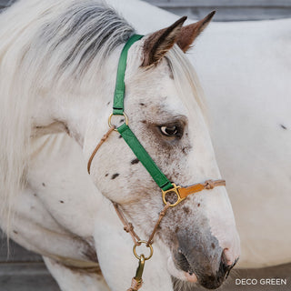 Classic Nylon Hybrid Halter®