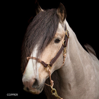 Classic Leather Hybrid Halter®