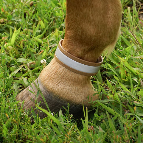 Reflective Leg Bands