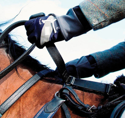 horse rider safety handle