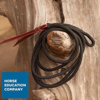Fashion Strings for Natural Horsemanship Sticks