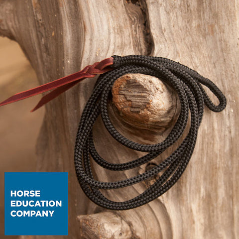 Fashion Strings for Natural Horsemanship Sticks